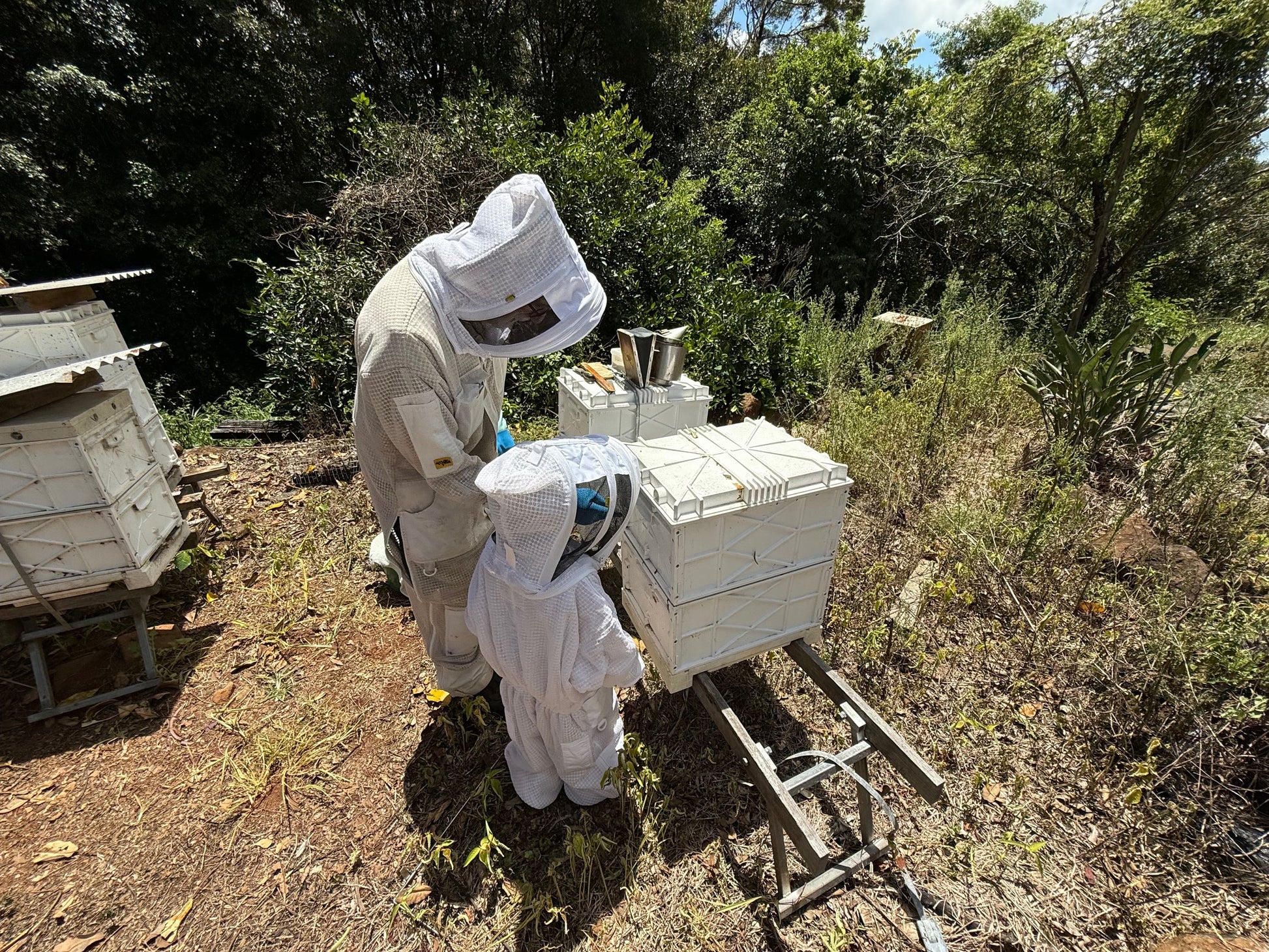 Obi Valley View Raw Honey