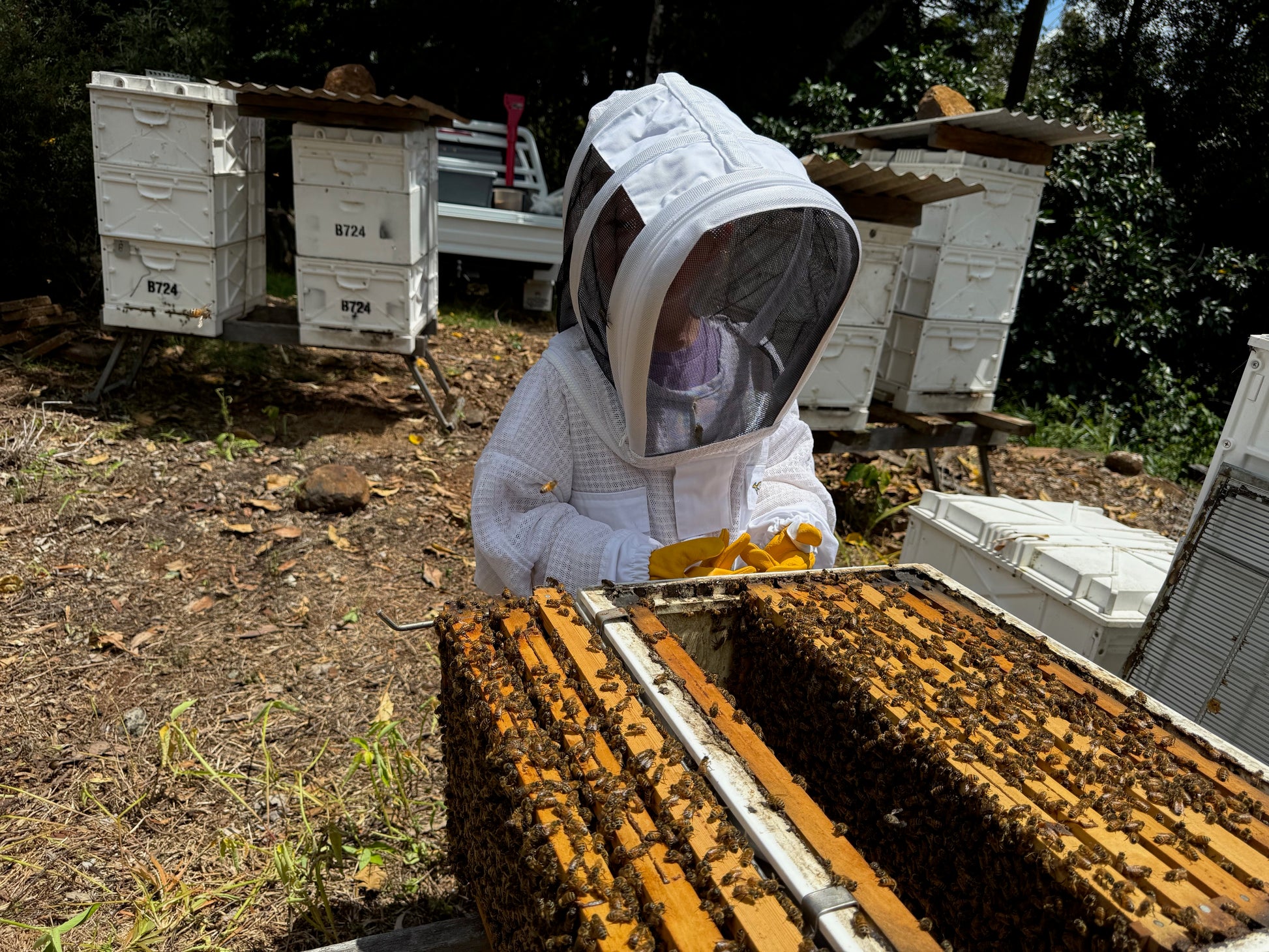 Obi Valley View Raw Honey